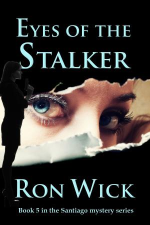 Book cover of Eyes of the Stalker