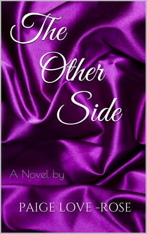 Cover of the book The Other Side by LAZ