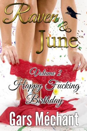 Cover of the book Raven and June: Volume 2, Happy Fucking Birthday by Gars Méchant
