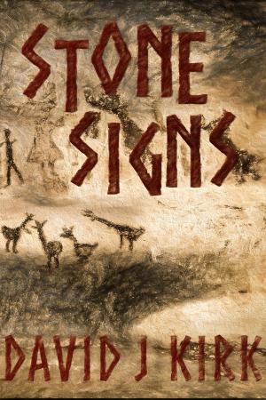 Book cover of Stone Signs