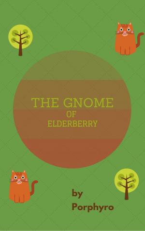 Cover of The Gnome of Elderberry