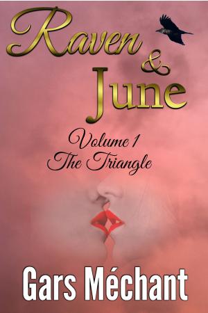 bigCover of the book Raven and June: Volume 1 The Triangle by 