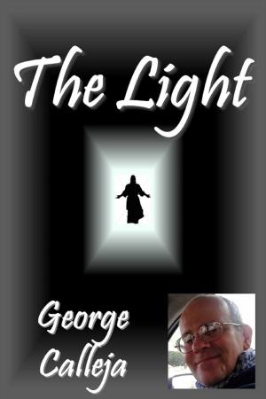 Cover of the book The Light by Dr. Gary S. Day, VB4Christ
