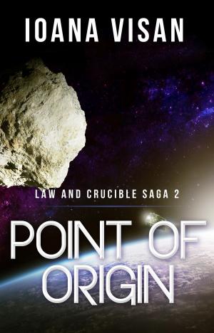 Cover of the book Point of Origin by Donovan Scherer