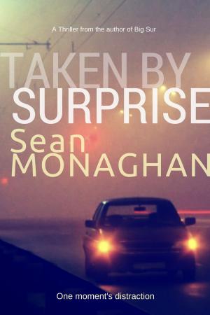 Cover of the book Taken By Surprise by Sean Monaghan