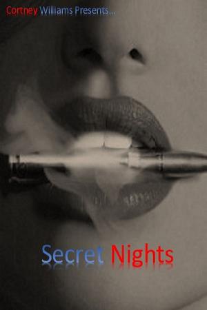 Cover of the book Secret Nights by Carmela Katzenbach