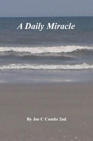 Book cover of A Daily Miracle