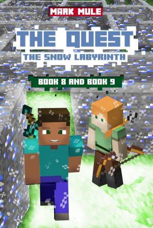 Cover of the book The Quest: The Snow Labyrinth, Book 8 and Book 9 by Louisa May Alcott, Louisa May Alcott