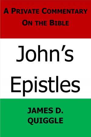 Cover of the book John's Epistles by James D. Quiggle