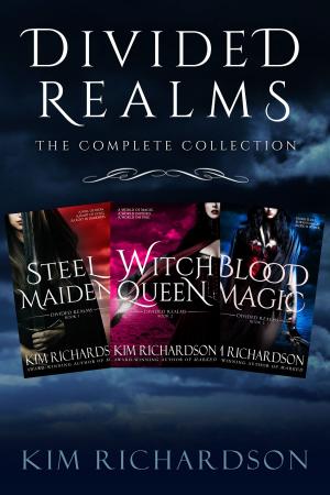 Cover of the book Divided Realms, The Complete Collection: Steel Maiden, Witch Queen, Blood Magic by Laura Resnick