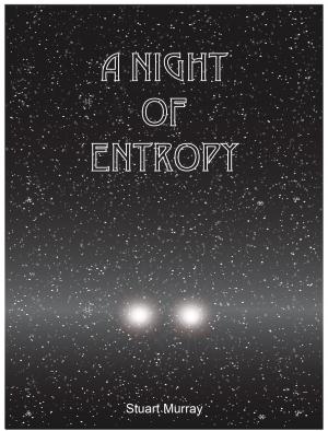 Cover of A Night Of Entropy