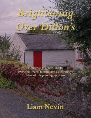 Cover of Brightening Over Dillon's