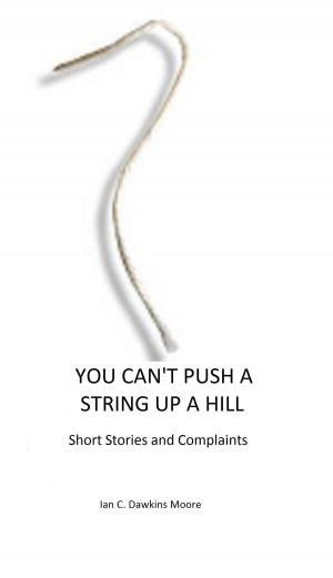Cover of You Can't Push A String Up A HIll