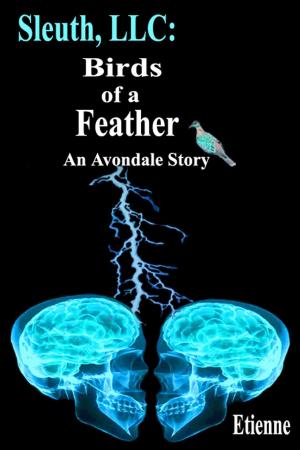 bigCover of the book Sleuth, LLC: Birds of a Feather (an Avondale Story) by 