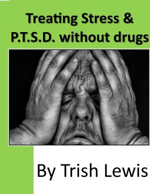 Cover of the book Treating Stress & P.T.S.D. without drugs by David Dewulf