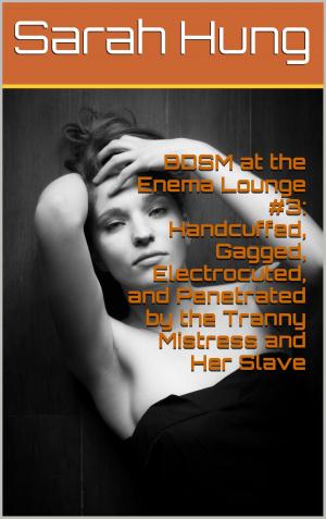 Cover of the book BDSM at the Enema Lounge #3: Handcuffed, Gagged, Electrocuted, and Penetrated by the Tranny Mistress and Her Slave by Sarah Hung