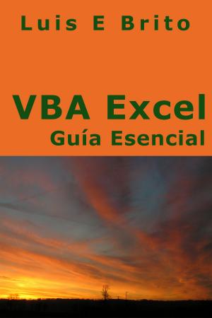 Cover of VBA Excel Guía Esencial