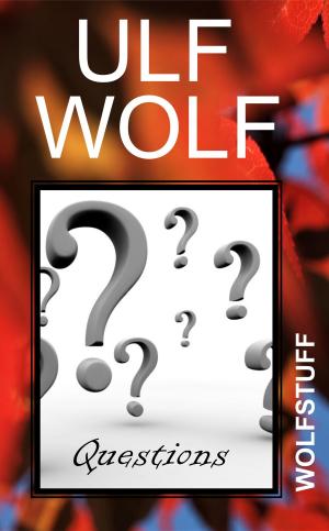Cover of the book Questions by Ulf Wolf