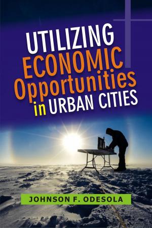 Book cover of Utilizing Economic Opportunities In Urban Cities