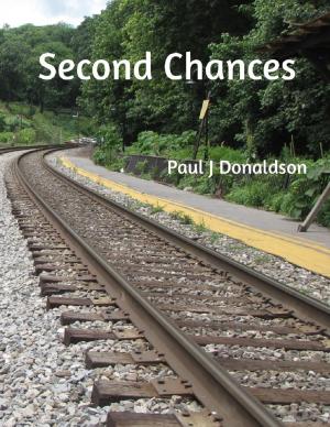 Cover of the book Second Chances by Douglas Grant Johnson
