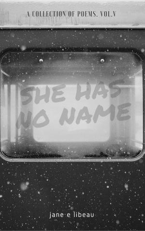 bigCover of the book She Has No Name. A Collection of Poems. Volume V by 