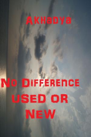 Book cover of No Difference Used or New