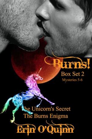 Cover of the book Burns! Box Set Two (Mysteries 5-6) by Erin O'Quinn