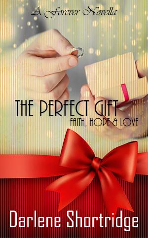 Cover of the book The Perfect Gift by Lilly York