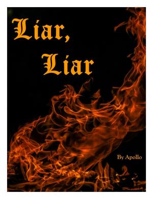 Cover of the book Liar Liar by Richard Shury