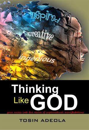 Cover of the book Thinking Like God by Melanie Hoover