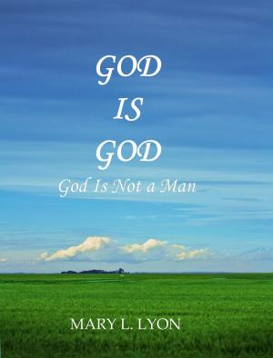 Cover of the book God Is God, God Is Not A Man by Baz Gale