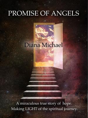 Cover of the book Promise of Angels by John Dudgeon