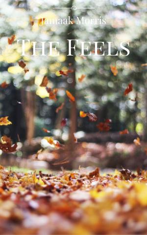 Cover of the book The Feels by Roger McTair