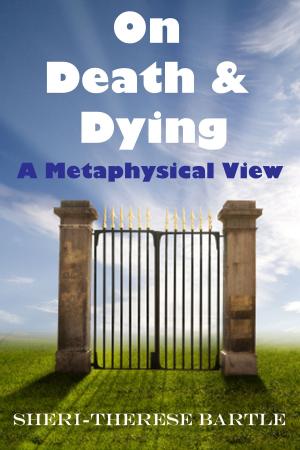 Cover of the book On Death and Dying: A Metaphysical View by Timothy E. Turner