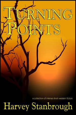 Cover of the book Turning Points by Nicolas Z Porter