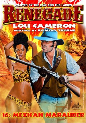Cover of the book Renegade 16: Mexican Marauder by Neil Hunter
