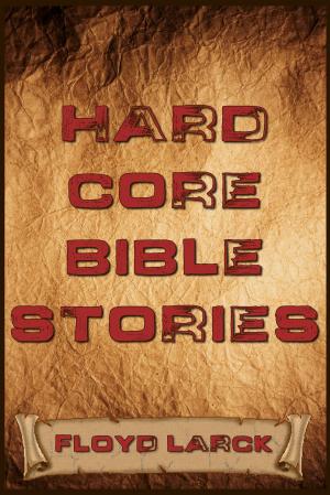 Book cover of Hard Core Bible Stories