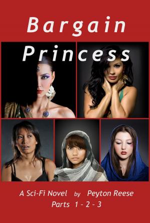 Book cover of Bargain Princess Parts 1 & 2 & 3
