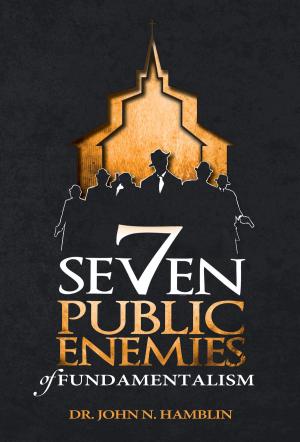 Cover of Seven Public Enemies of Fundamentalism