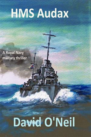 Cover of the book HMS Audax by Caroline Giammanco