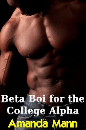 Cover of the book Beta Boi for the College Alpha by Anita Blackmann, Amanda Mann, Syndy Light