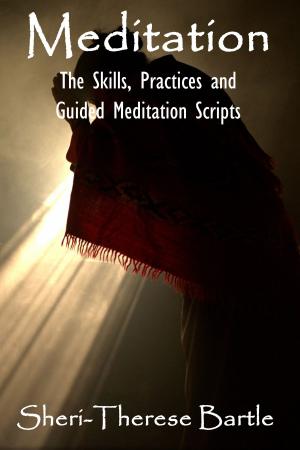 Book cover of Meditation: The Skills, Practices and Guided Meditation Scripts