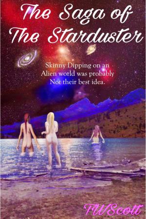 Book cover of The Saga Of The Starduster