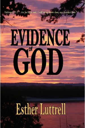 Cover of the book Evidence of God by Bernadette Snyder