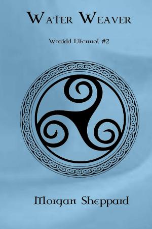 Book cover of Water Weaver (Wraidd Elfennol, #2)