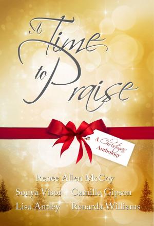 Book cover of A Time to Praise: A Christmas Anthology