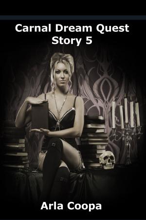 Cover of the book Carnal Dream Quest: Story 5 by Vivienne Savage