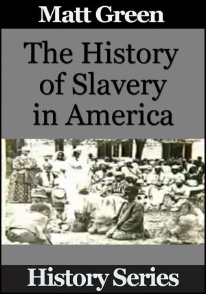 bigCover of the book The History of Slavery in America by 