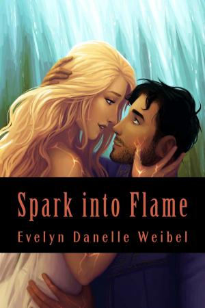 Cover of the book Spark into Flame by Abra Ebner