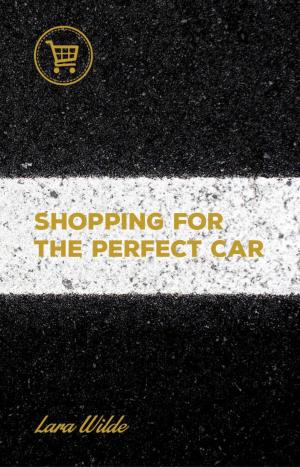 Cover of the book Shopping for the Perfect Car by James Scott Bell